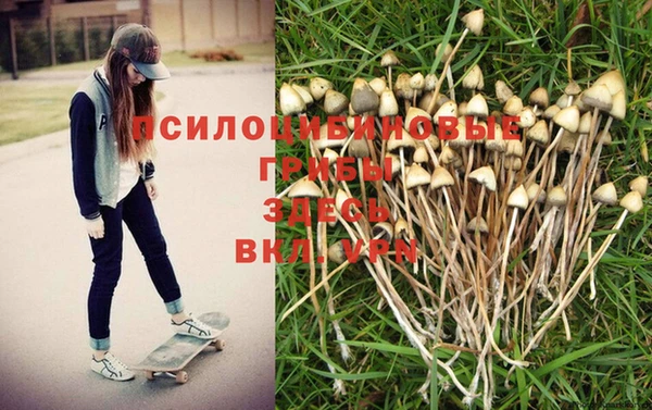 мдма Медногорск